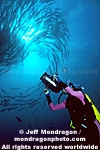 Diver Filming photos