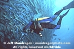 Diver Filming photos